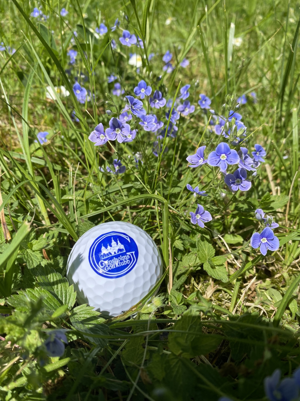Blommor   boll